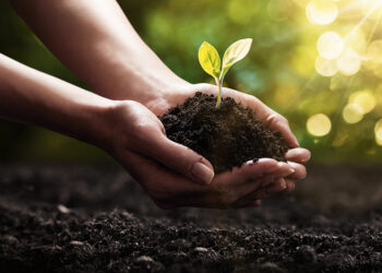 Oltre duecento bambini della città hanno “adottato” il proprio albero aderendo all’iniziativa promossa dal Comune di Crotone