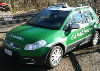 Crucoli: ancora un fabbricato abusivo in area rurale