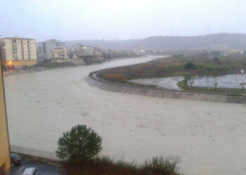 Maltempo, Statti, Zurlo e Granata (Confagricoltura): “Subito ristori per le zone colpite”