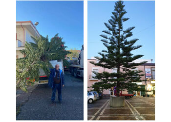 A Cirò Marina in piazza Diaz arriva un grande albero di Natale: donato dalla famiglia Morrone