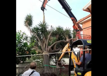 Cirò Marina, l’associazione Città Pulita fa conoscere la nostra cittadina nel mondo: ecco un video con 3 milioni visualizzazioni