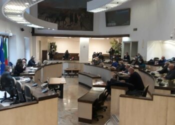 Conferenza dei sindaci del distretto socio assistenziale di Crotone: novità rilevanti per Medicina Nucleare, Oncologia, Emodinamica