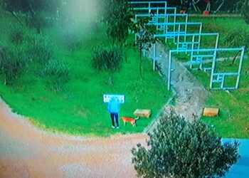 Crotone: Vandalo in azione a Parco Pitagora, beccato dalle telecamere