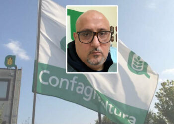 Cirò Marina, Pirito (Enapa) interviene sugli Avvisi accertamento tributi comunali: “le cartelle arrivano sempre agli stessi contribuenti”