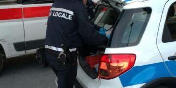Cani senza microchip, sanzioni della Polizia Locale nel territorio di Strongoli