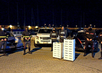 Cirò Marina, sequestrate 80 cassette contenenti 460kg di novellame di sarda, multa da 25 mila euro