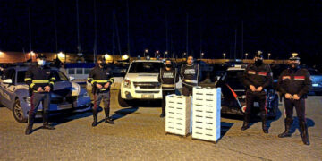 Cirò Marina, sequestrate 80 cassette contenenti 460kg di novellame di sarda, multa da 25 mila euro