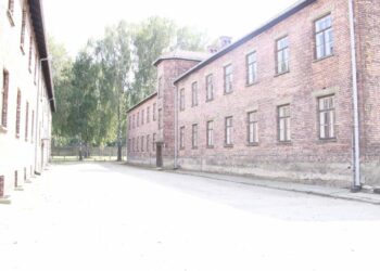 Crotone, Giorno della Memoria: l’invito dell’assessore alla Pubblica Istruzione agli alunni delle scuole