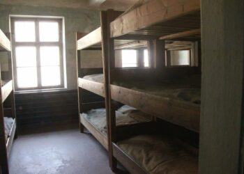 Crotone, Giorno della Memoria. Il sindaco Voce: avvertiamo la libertà di scegliere di ricordare come un dovere morale