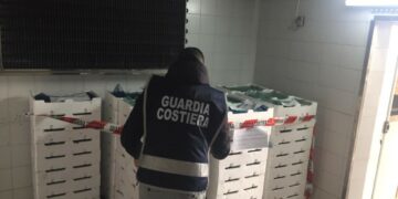 Crucoli e Villa San Giovanni: Sequestrata quasi una tonnellata di “bianchetto” e contestate sanzioni per oltre 50.000 euro