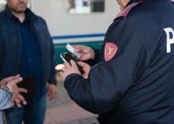 Crotone: Animali incustoditi causano incidente ferroviario, la Polfer denuncia un pastore