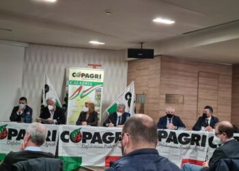 Francesco Macrì eletto presidente Copagri Calabria. Barretta, Pignataro e Lentini vicepresidenti