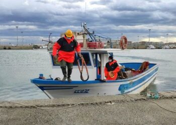 Pesca della sardella: la Regione dà il via alla campagna sperimentale, anche a Cirò Marina e Cariati