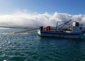 Pesca della sardella: la Regione dà il via alla campagna sperimentale, anche a Cirò Marina e Cariati