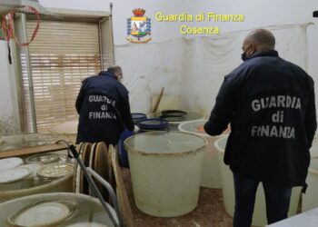 Produzione oltre 50 quintali alcolici di contrabbando: sequestrata fabbrica clandestinata e denunciato un cinese