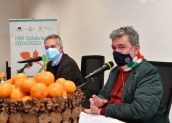 Sviluppo rurale, presentati i bandi “Agrumicoltura” e “infrastrutture”