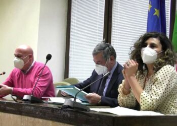 Crotone, l’assessore Cortese: “Creare una rete condivisa di esperienze e di professionalità sul tema dell’autismo”