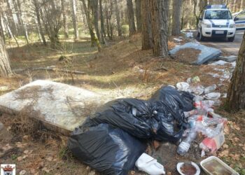 Incivili buttano rifiuti in Sila, la polizia provinciale di San Giovanni in Fiore individua e segnala numerosi siti