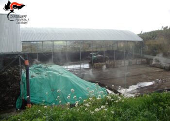 Irregolarità nella gestione dei rifiuti nell’isola ecologica di Cotronei