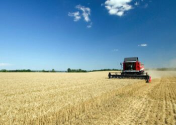 Parte ufficialmente la campagna della Domanda Unica della Pac 2021