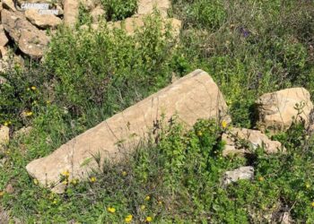 Belvedere Spinello: individuato antico insediamento di epoca greca risalente circa al VI secolo a.c.