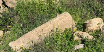 Belvedere Spinello: individuato antico insediamento di epoca greca risalente circa al VI secolo a.c.