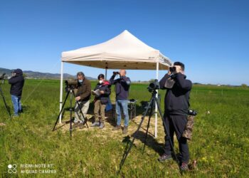 Cirò Marina: Al via a Punta Alice il monitoraggio degli uccelli migratori