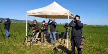 Cirò Marina: Al via a Punta Alice il monitoraggio degli uccelli migratori