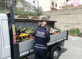 Crotone, sanzionati due venditori ambulanti dalla Polizia Locale