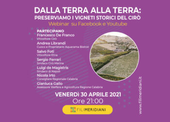 “Dalla Terra alla Terra”: Fili Meridiani e i viticoltori del Cirò contro il parco Eolico di Cirò Marina