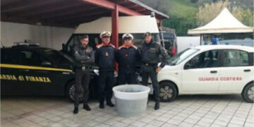 Fermato furgone con 750kg di “bianchetto”, sequestrato dalla Guardia costiera e Finanza