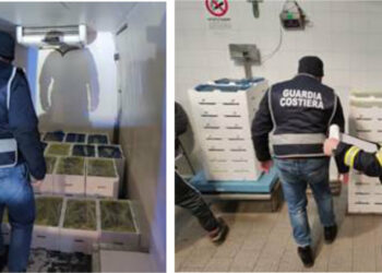 Fermato furgone con mezza tonnellata di “bianchetto”,  sequestrato dalla Guardia costiera e Polizia stradale