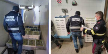 Fermato furgone con mezza tonnellata di “bianchetto”,  sequestrato dalla Guardia costiera e Polizia stradale
