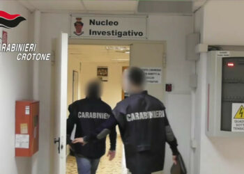 Petilia Policastro, Livorno e Catanzaro: esecuzione di misure cautelari nei confronti di 8 indagati