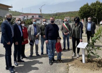 A Torre Melissa il 16° “Giardino della Memoria”, domenica è stata una giornata per ricordare le vittime di covid