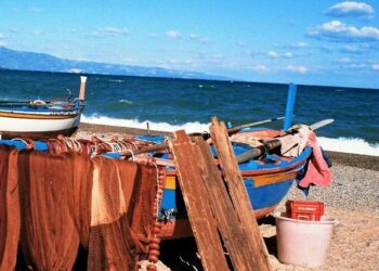 Pesca sardella sperimentale, Martilotti presidente Pescatori Calabria: “Una rinuncia dolorosa per maggior attenzione e trasparenza”