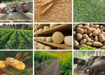 Nasce il Comitato Promotore del Distretto del Cibo Jonico-Silano “le Vie della Transumanza”