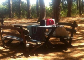 Covid: scampagnata per festeggiare il 1° Maggio, sanzionati