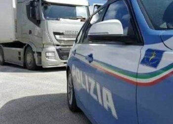 La Polizia Stradale di Crotone sequestra carico di ovini abusivo sulla SS106: denunciato il conducente