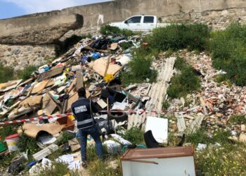 Operazione “Onda Blu”: la Guardia Costiera in prima linea nel contrasto ai reati ambientali