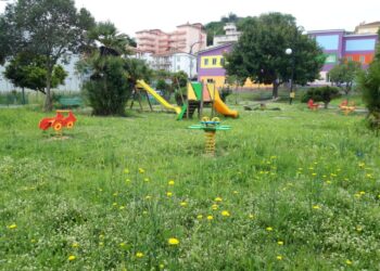 Torretta, villa comunale assalita da erbacce e incuria