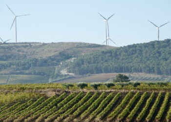 Parco eolico a Cirò Marina: il sindaco di Cirò Paletta al fianco del sindaco Ferrari