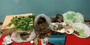 300 grammi di marijuana in cucina e 3 piante di canapa indiana in un rustico, un arresto a Petilia Policastro