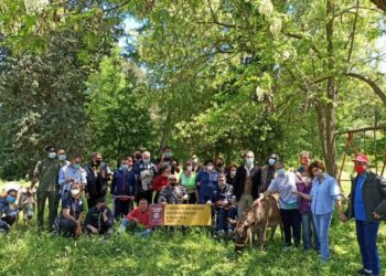 Coldiretti Calabria scrive all’assessore Gallo: inserire l’agricoltura sociale con le fattorie nel Piano Sociale Regionale