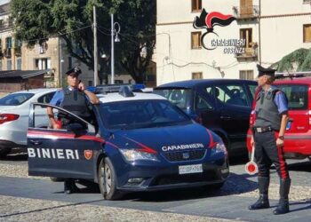Ladro di appartamento arrestato dai Carabinieri due volte in 5 giorni