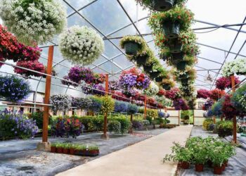 Coldiretti Calabria: aumentano le richieste di piante e fiori nei vivai dopo l’anno orribile del Covid