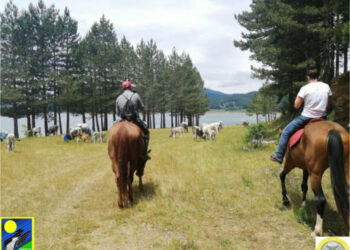 Parco Nazionale della Sila, pubblicato avviso pubblico per attività avvistamento antincendio e vigilanza ambientale