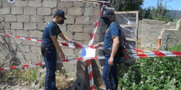 Gatti detenuti in condizioni incompatibili, Polizia Provinciale sequestra fabbricato e denuncia il detentore