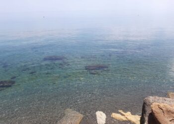 Torretta, revocato il divieto di balneazione in zona Ficodindia