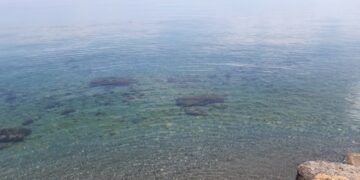 Torretta, revocato il divieto di balneazione in zona Ficodindia